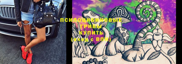 тгк Абинск