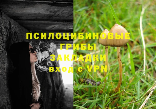тгк Абинск