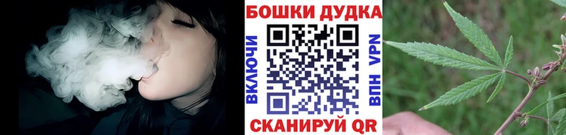 Каннабис OG Kush  Железноводск 