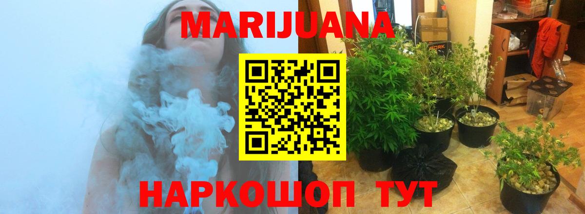 Конопля конопля  Конопля AK-47  Железноводск  Вход с VPN  Бошки Шишки план 